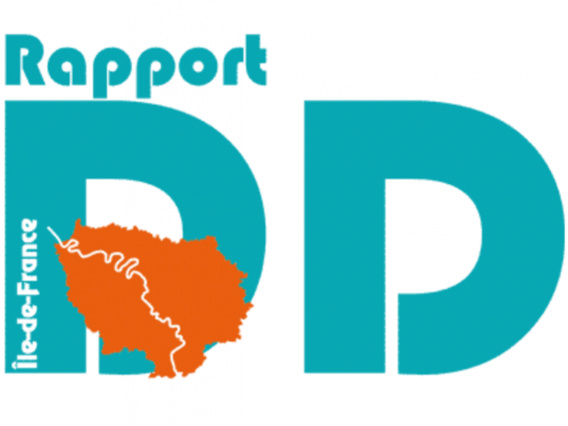 vignette rapport DD